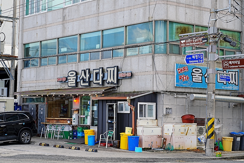 울산다찌 여행 추천 - 메고지고