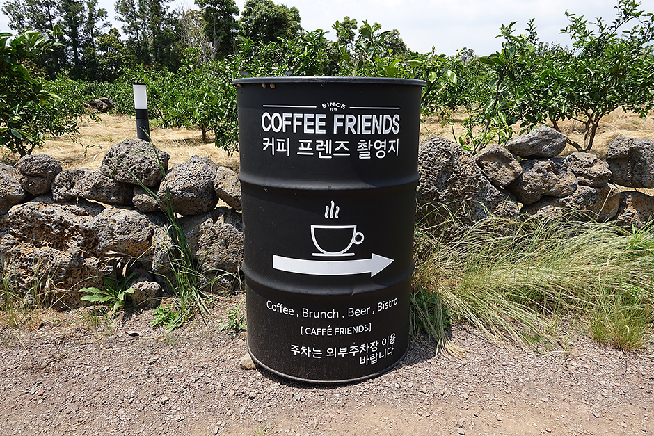 커피프렌즈촬영지 여행 추천 - 메고지고