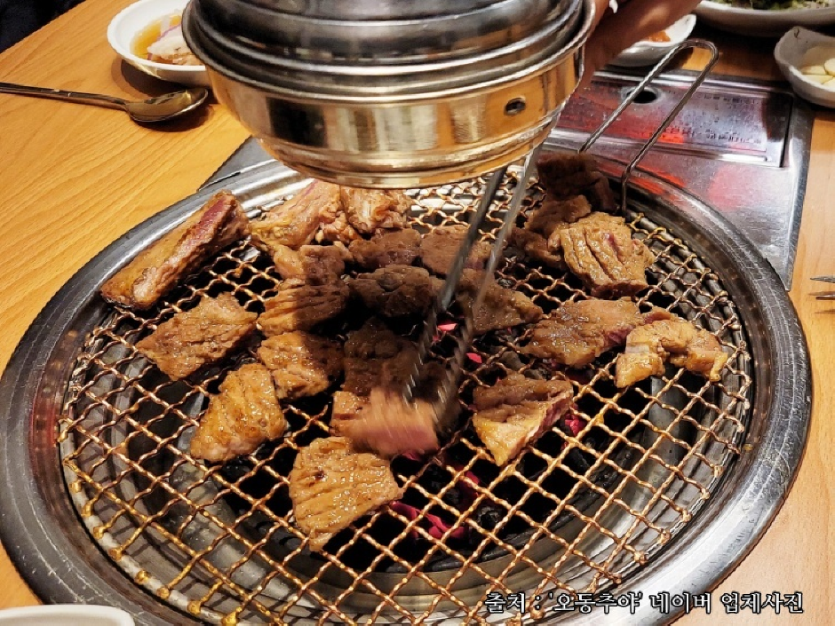오동추야 여행 추천 - 메고지고