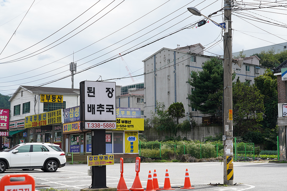 신토불이된장배추국 여행 추천 - 로드트립