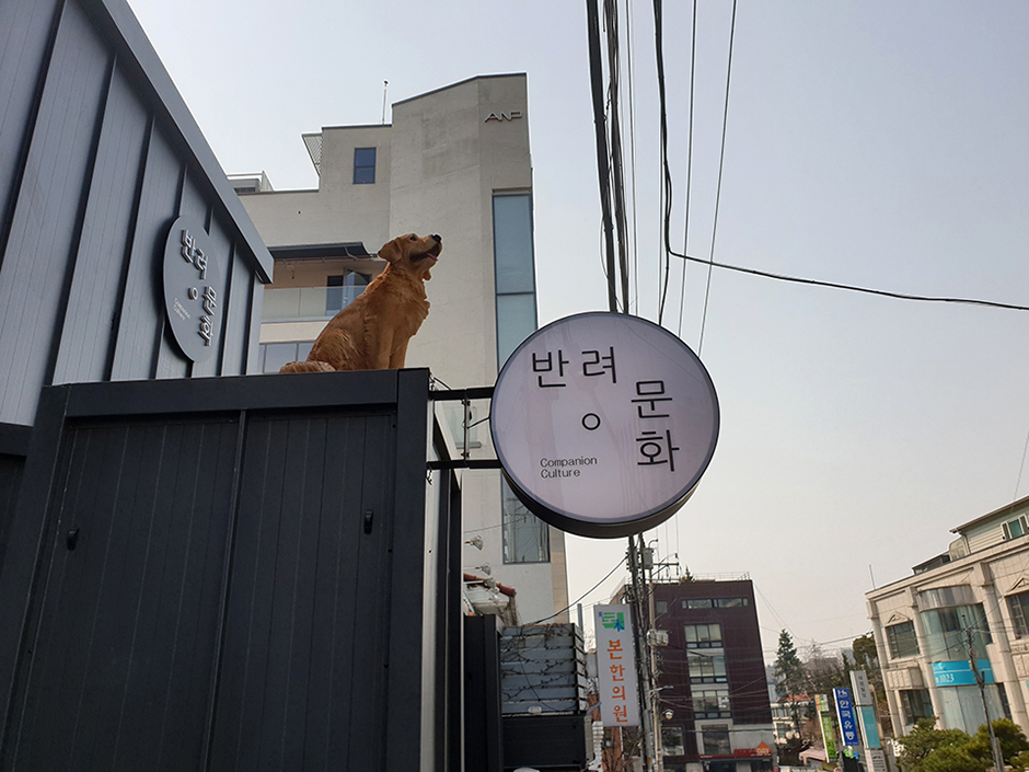반려문화 여행 추천 - 메고지고 반려문화 여행 추천 - 메고지고