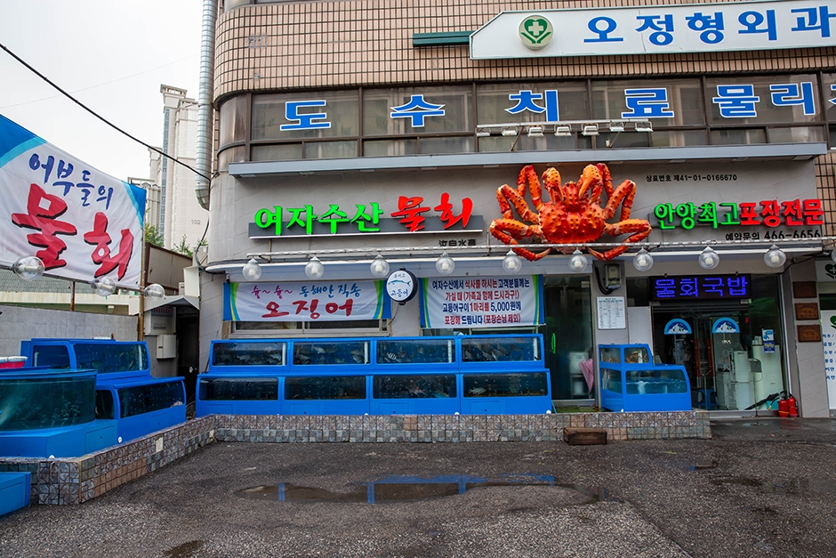 여자수산 여행 추천 - 메고지고