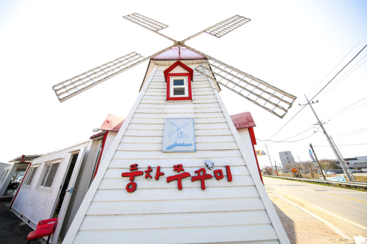풍차쭈꾸미 여행 추천 - 메고지고