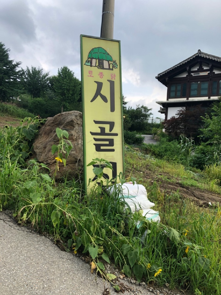 시골집 여행 추천 - 로드트립