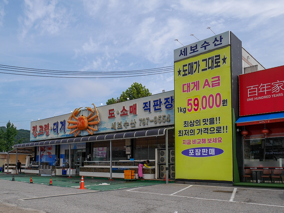 세보수산 여행 추천 - 로드트립