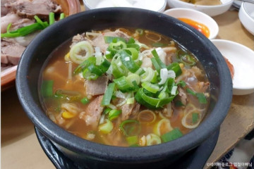 광명식당 여행 추천 - 메고지고