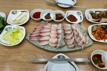 원조 조박집 본관 여행 추천 - 메고지고