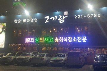 955카페 여행 추천 - 메고지고