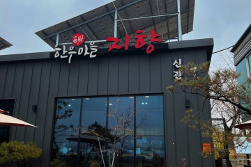 디스케이프 여행 추천 - 메고지고