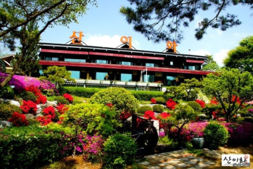 민쿡다시마 여행 추천 - 메고지고
