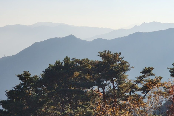 카페오도재_4_공공3유형.jpg