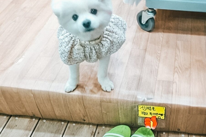 남다르게_5_공공3유형.jpg