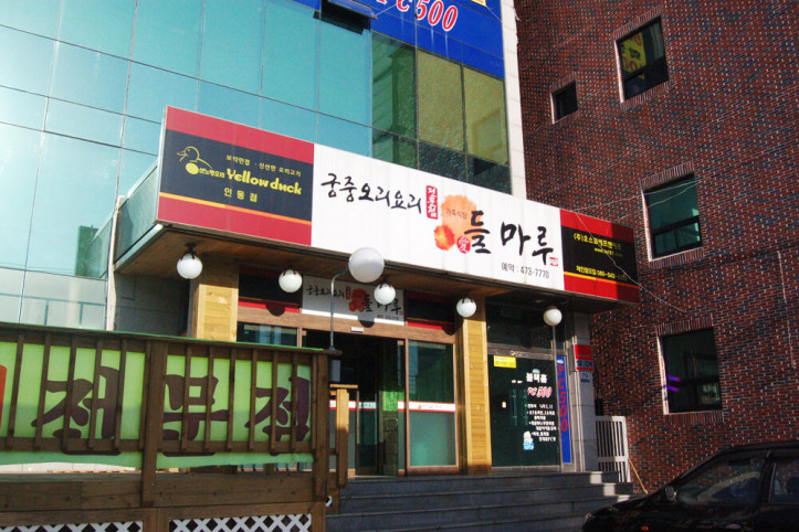 DSC_1016.JPG