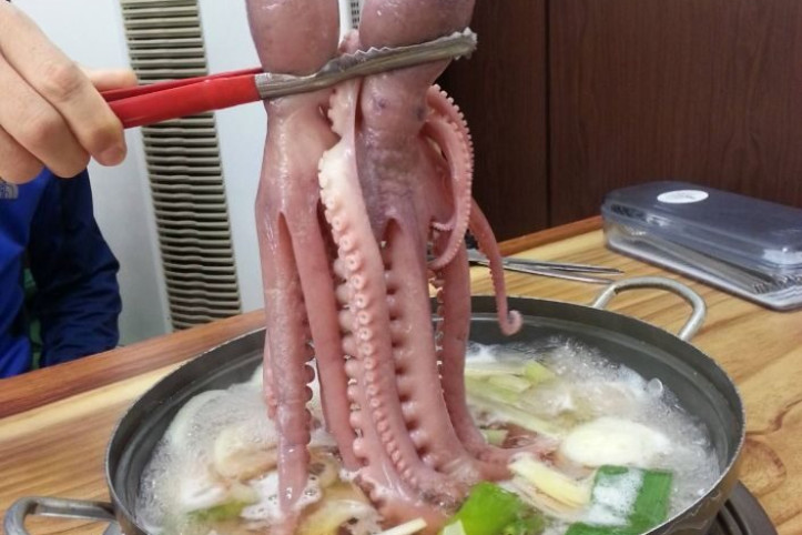 서해박속낙지전문점_6_공공3유형.jpg