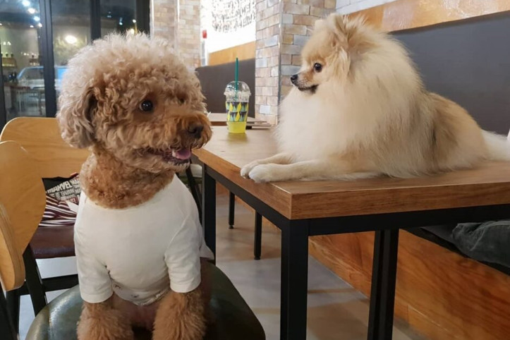 도기_1_공공3유형.jpg