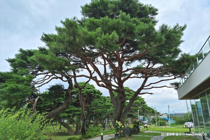 늘,파인_3_공공3유형.jpg