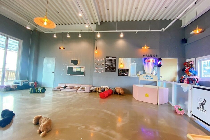 어스독_4_공공3유형.jpg