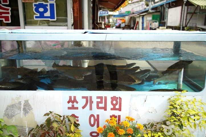 강가촌_7_공공3유형.jpg