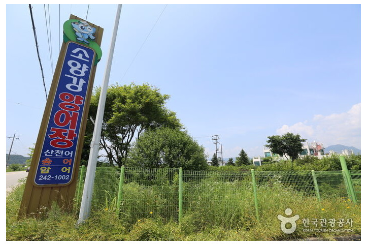 소양강양어장_4_공공3유형.jpg