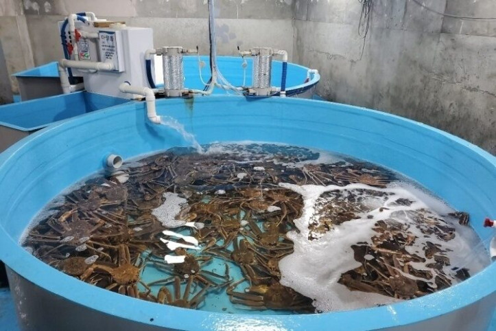 앞산울진대게_본점_4_공공3유형.jpg