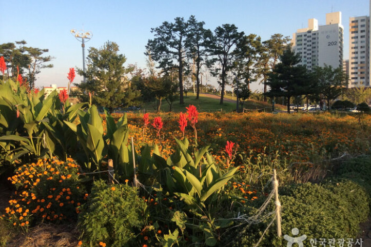 용궁석쇠구이_3_공공3유형.jpg