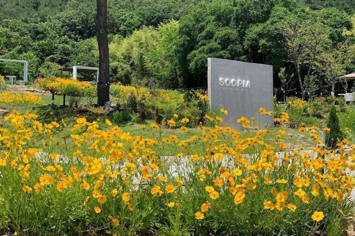 카페_수피아_3_공공3유형.jpg