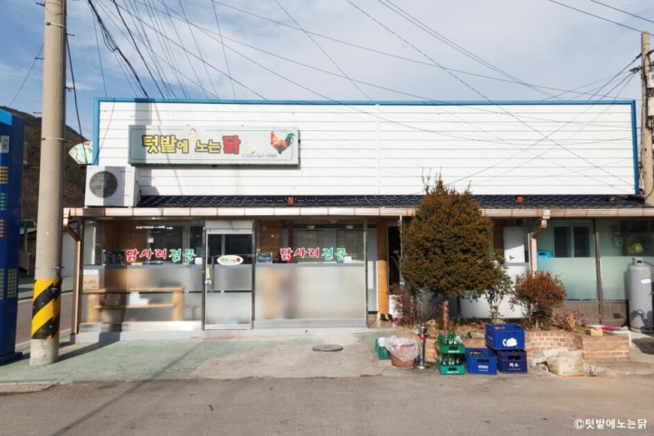 텃밭에노는닭_1_공공3유형.jpg