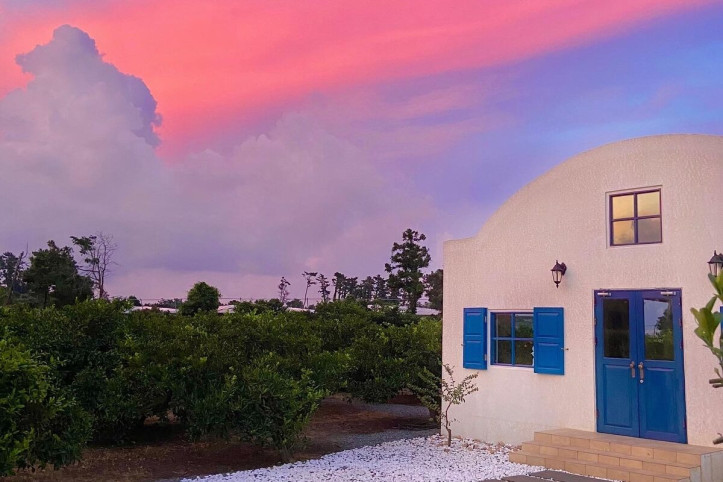 덴드리_4_공공3유형.jpg