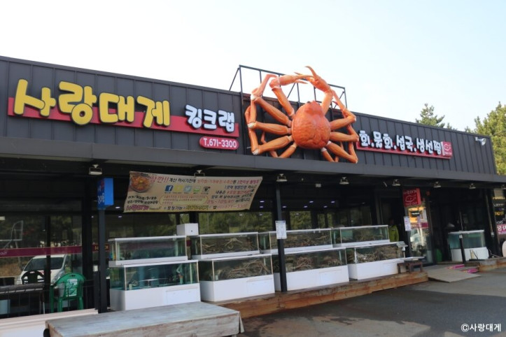 사랑대게_3_공공3유형.jpg