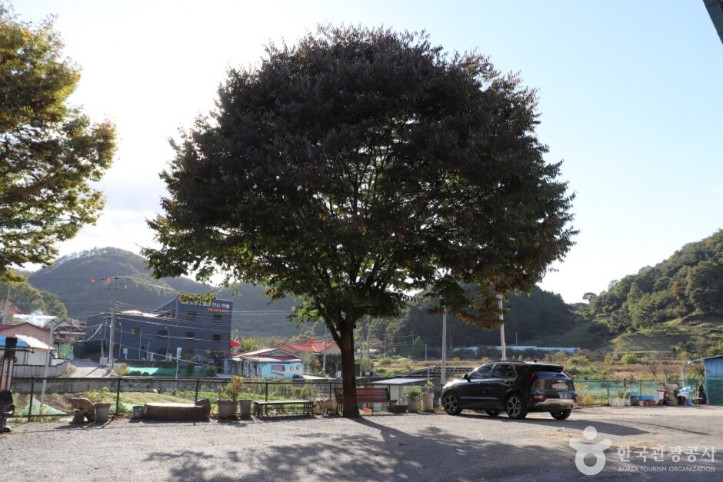 정자나무가든_7_공공3유형.JPG