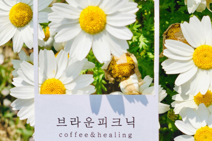 브라운피크닉_3_공공3유형.jpg