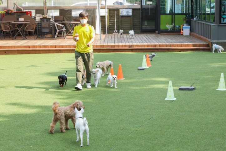도그스테이블_6_공공3유형.jpg