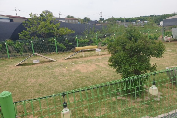 닭향_1_공공3유형.jpg