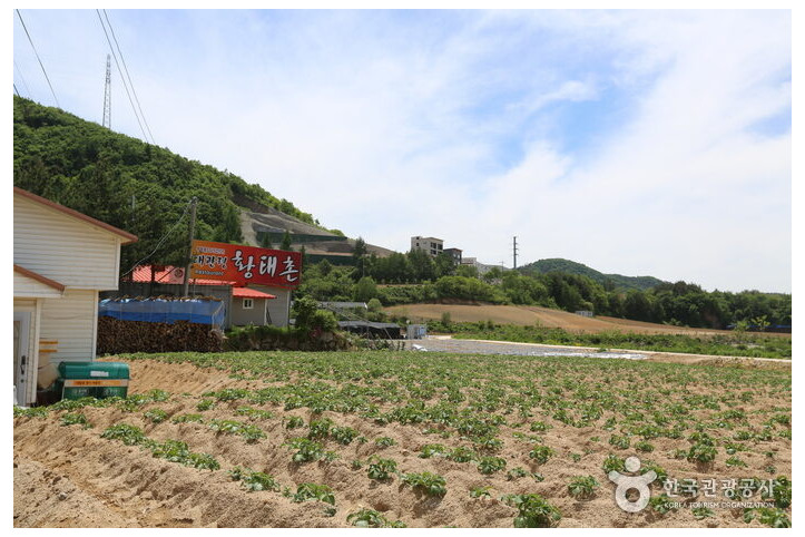 대관령황태촌_3_공공3유형.jpg
