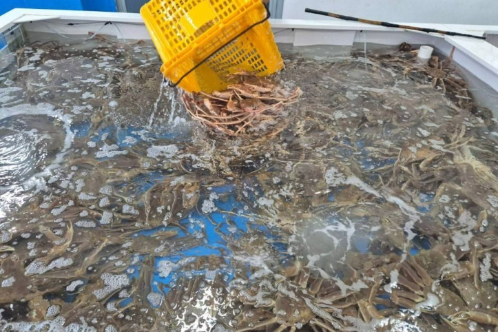 대포대게회직판장_1_공공3유형.jpg