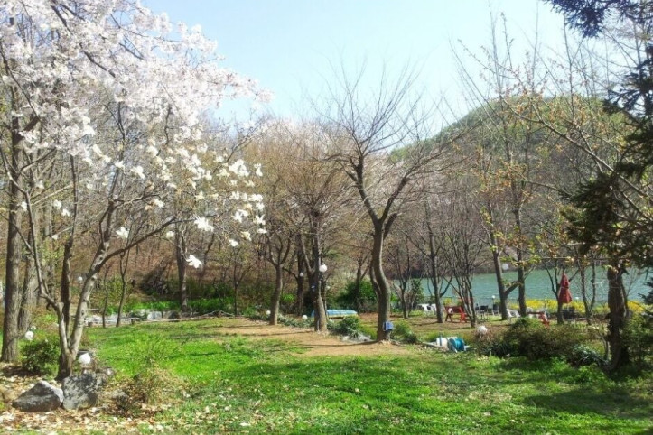허니듀_3_공공3유형.jpeg