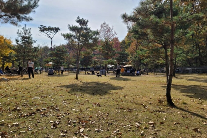 피터팻츠_3_공공3유형.jpg