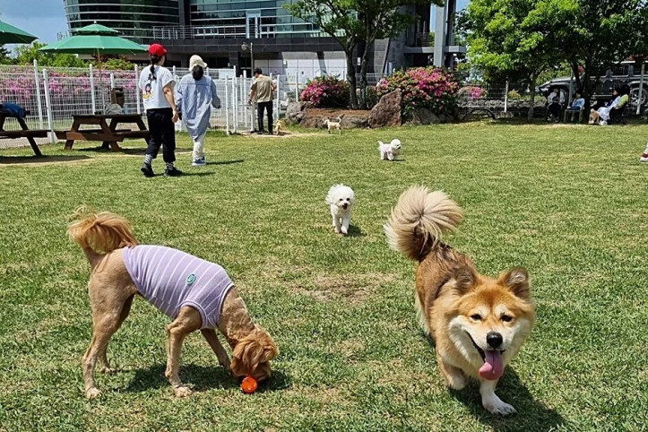 블리스풀_5_공공3유형.jpg
