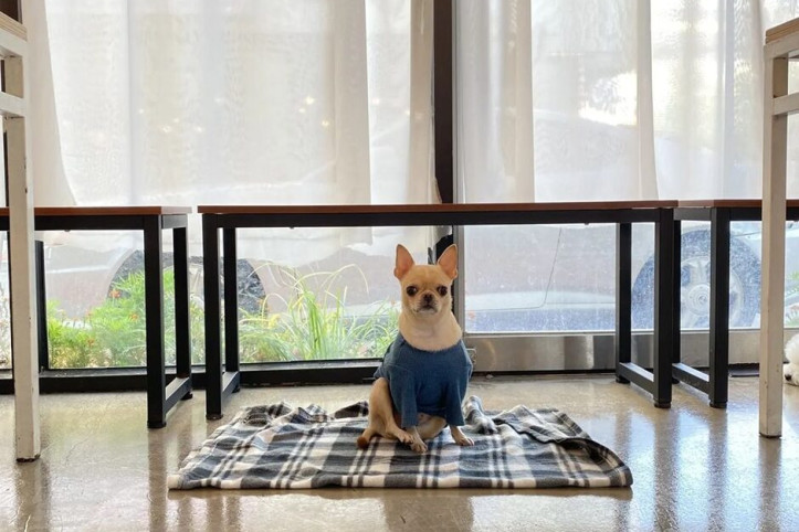 도기_5_공공3유형.jpg