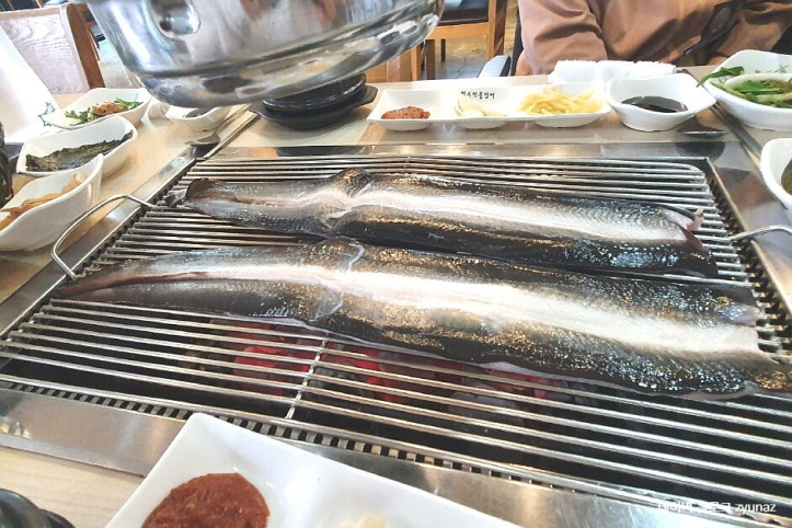 청수민물장어_4_공공3유형.jpg