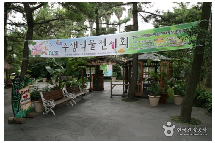 돌하르방식당_1_공공3유형.jpg