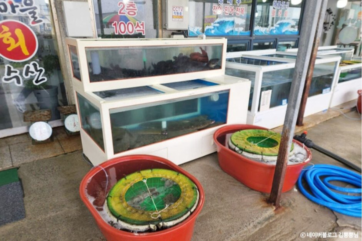 섬마을회정식_3_공공3유형.jpg