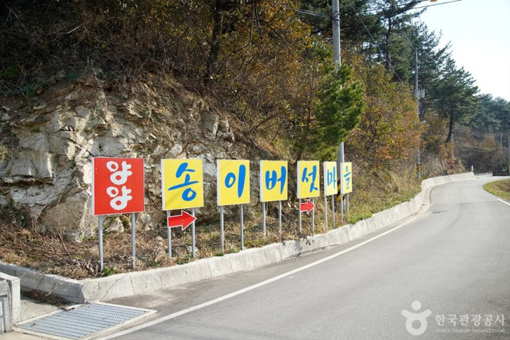 송이버섯마을_1_공공3유형.jpg