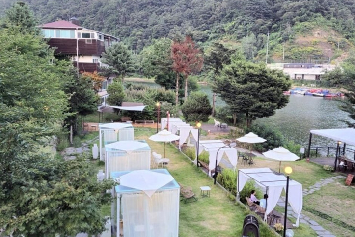 코리달리스_2_공공3유형.jpeg