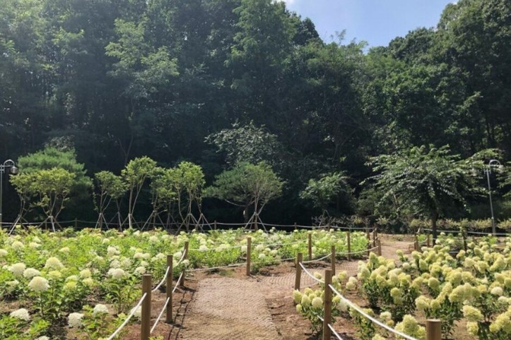 프레이밍_3_공공3유형.jpg