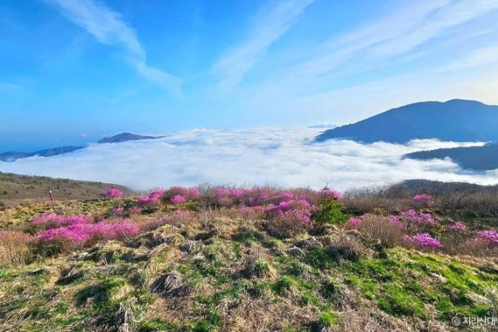 지리산대박터고매감_6_공공3유형.jpg