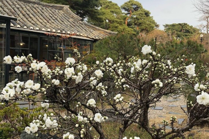 카페기와_2_공공3유형.jpg