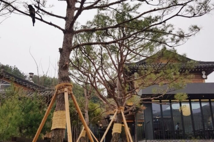 오월다방_3_공공3유형.jpg