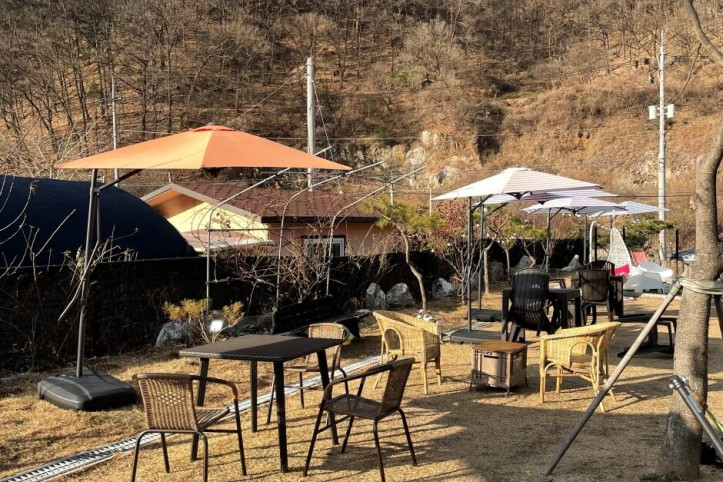 스누피_애견카페_3_공공3유형.jpg
