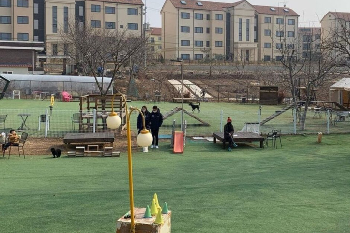 놀다가개_1_공공3유형.jpg